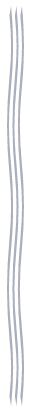lines